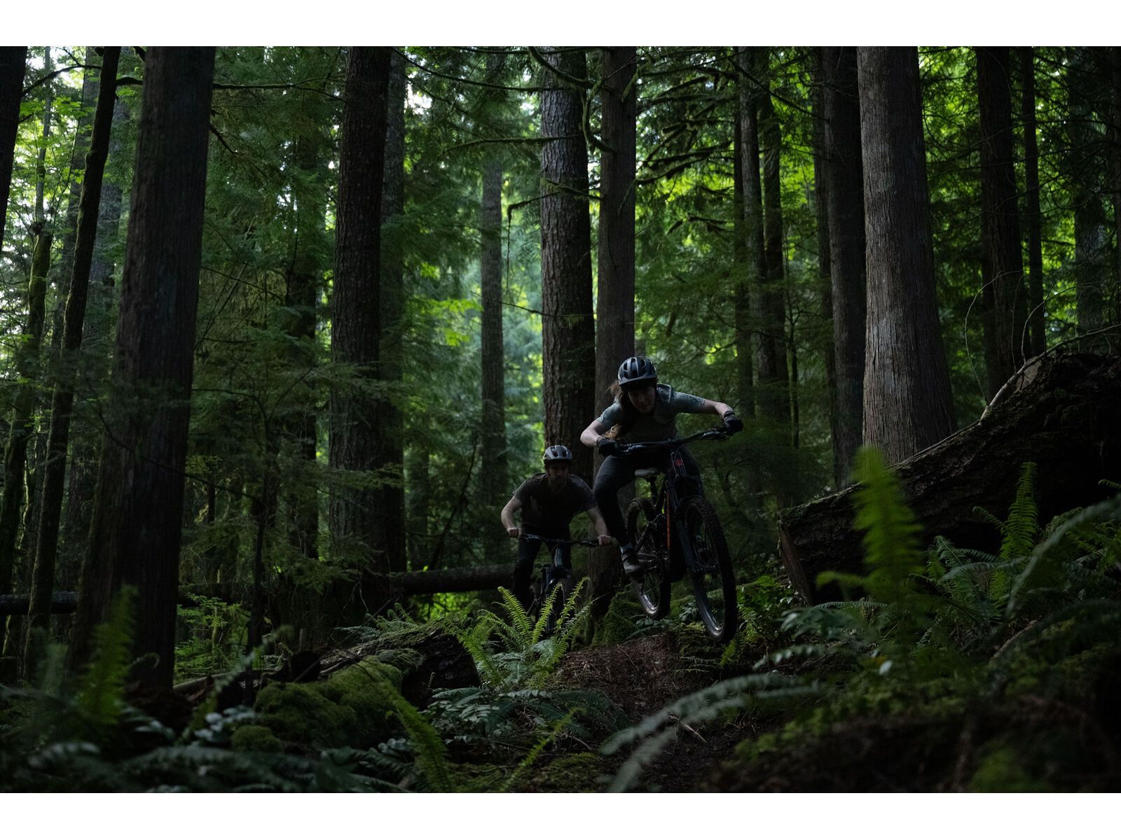 Santa Cruz Vala AL / 70 / MX, gloss lunar grey - Bild 17