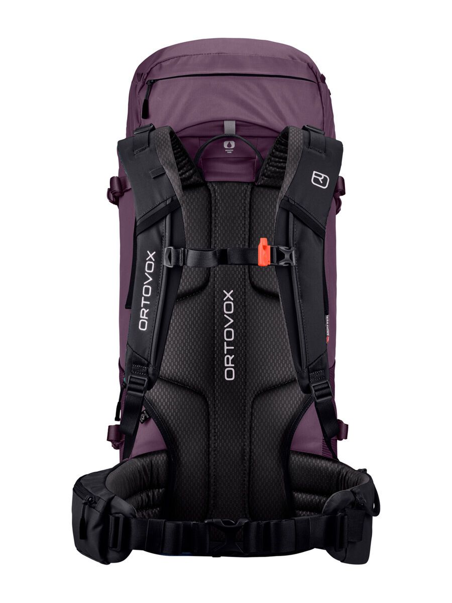 Ortovox Peak 42 S, wild berry - Bild 2
