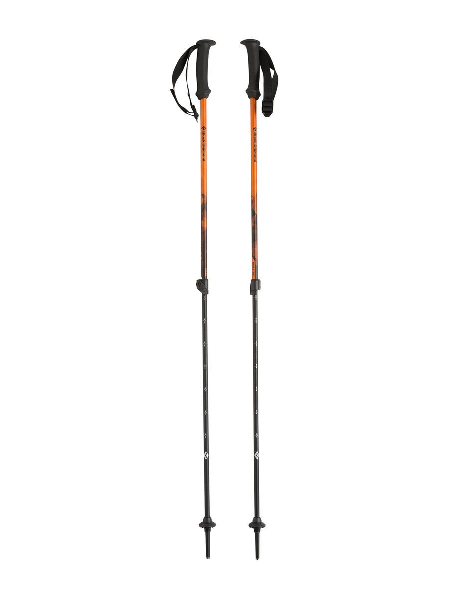 Black Diamond First Strike Trekking Poles - Bild 1