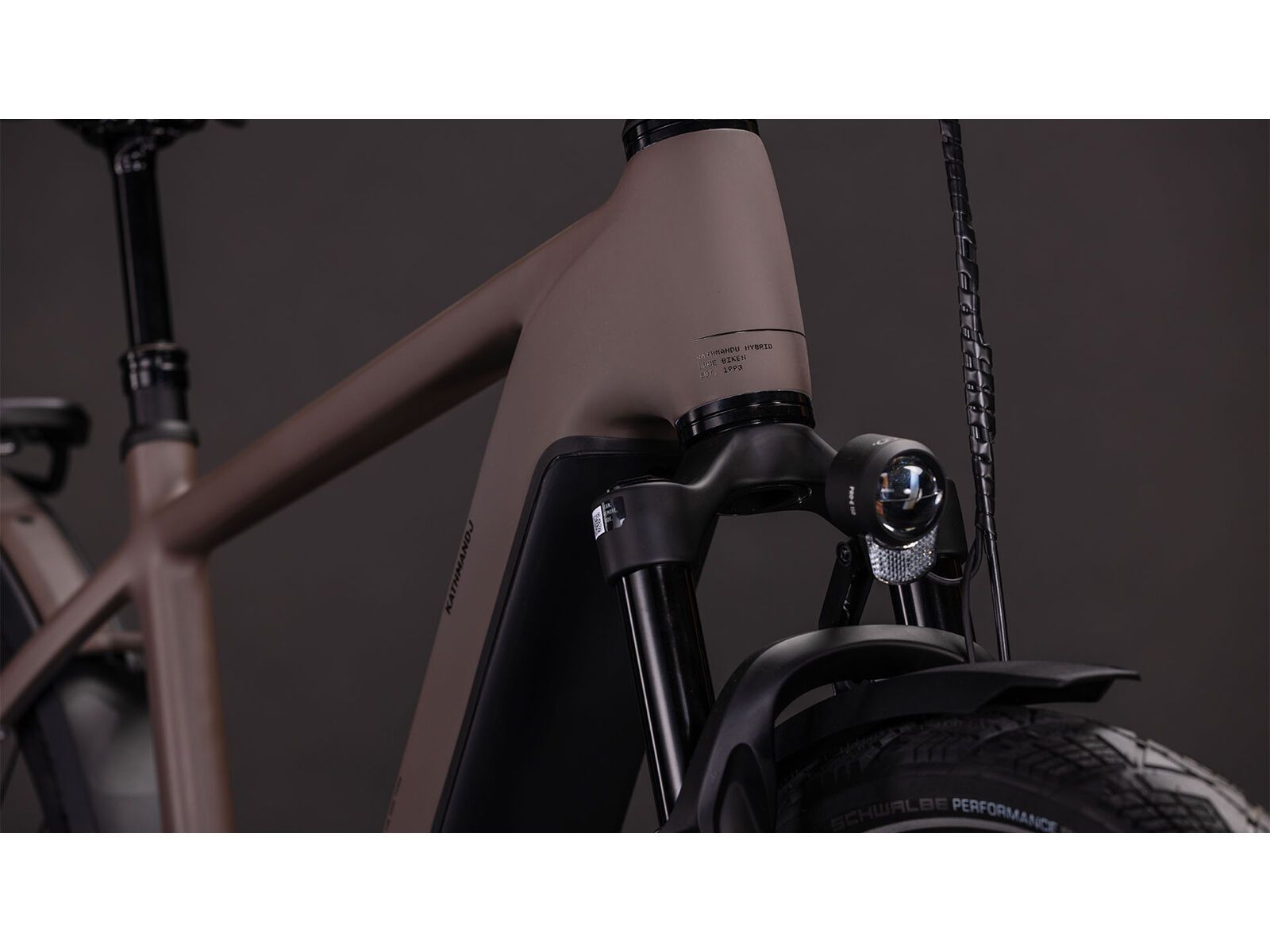 Cube Kathmandu Hybrid EXC 800, cedar´n´chrome - Bild 7