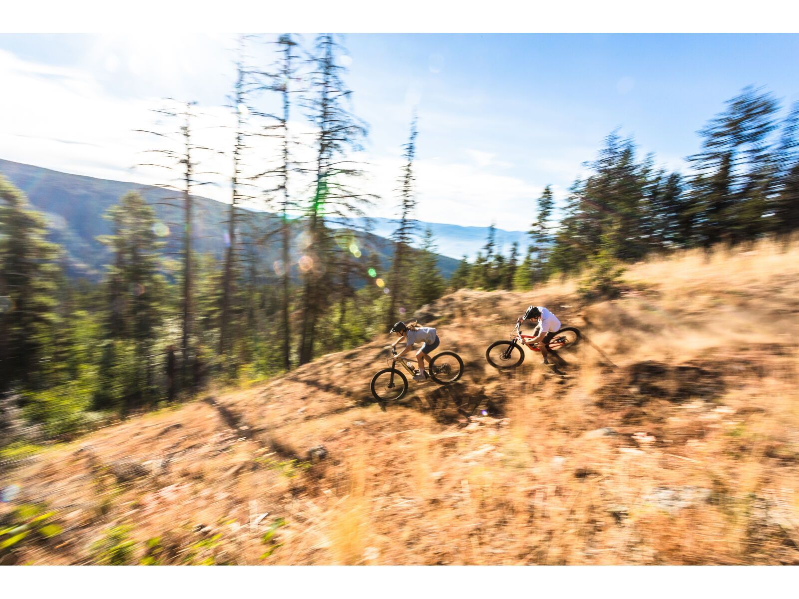 Santa Cruz 5010 C / R / MX, gloss red - Bild 16