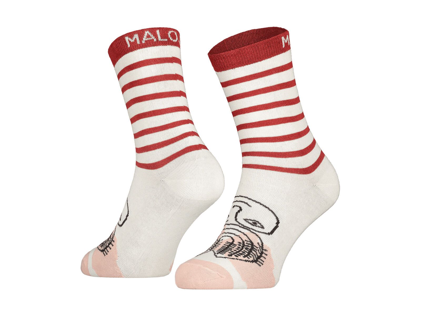 Maloja CarnationM., firebug - Bild 1
