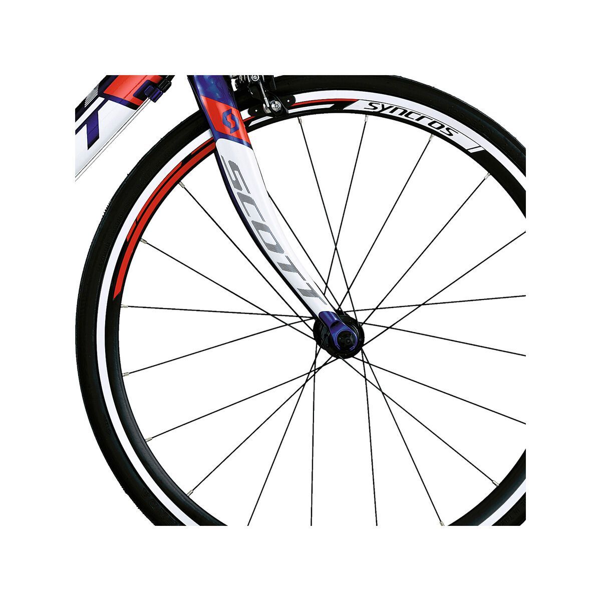 Scott Speedster JR 24 - Bild 2