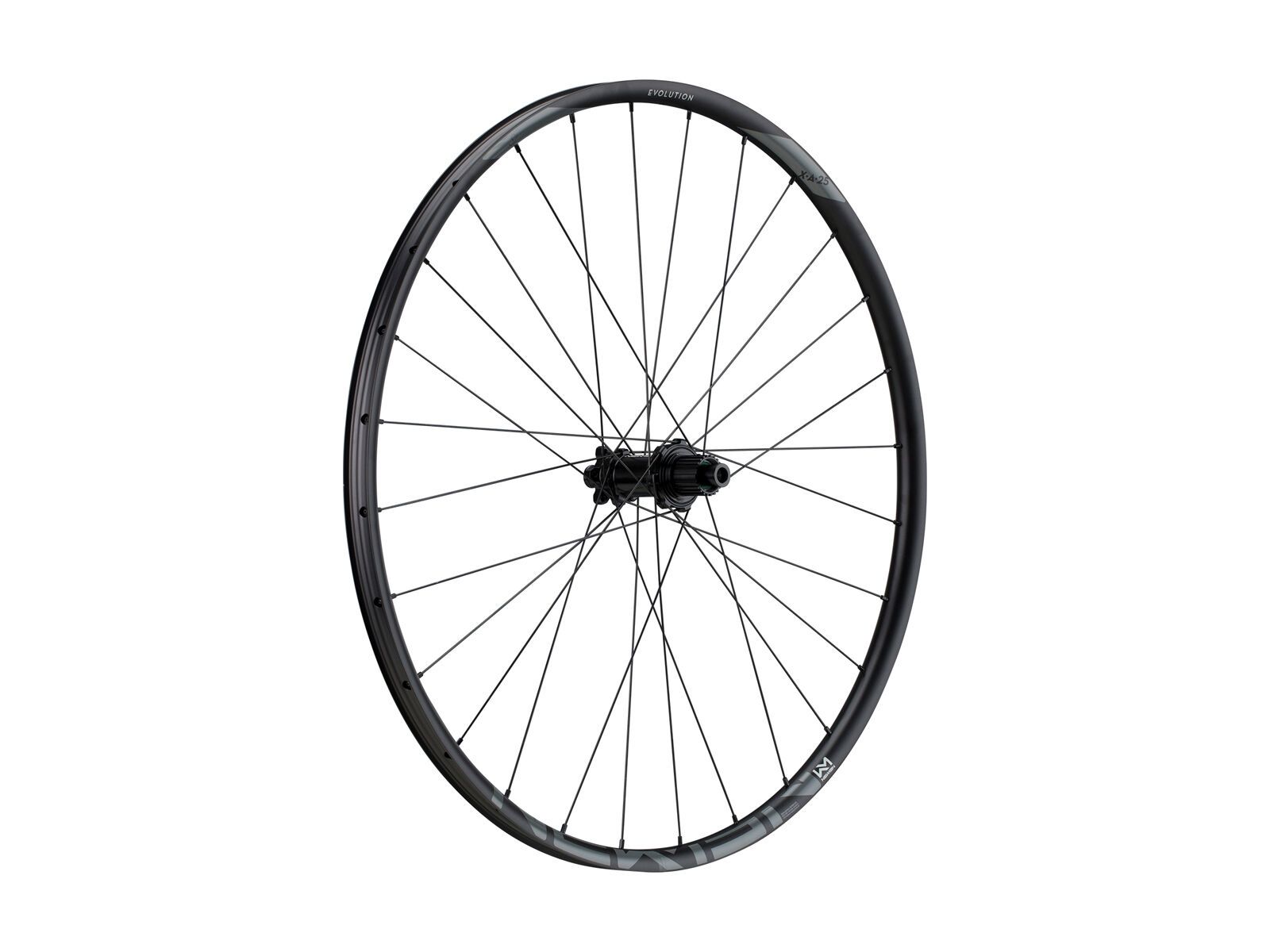 Newmen Evolution SL X.A.25 6-Loch - 29 / 12x148 mm Boost / SRAM XD, black / silver hub - Bild 1