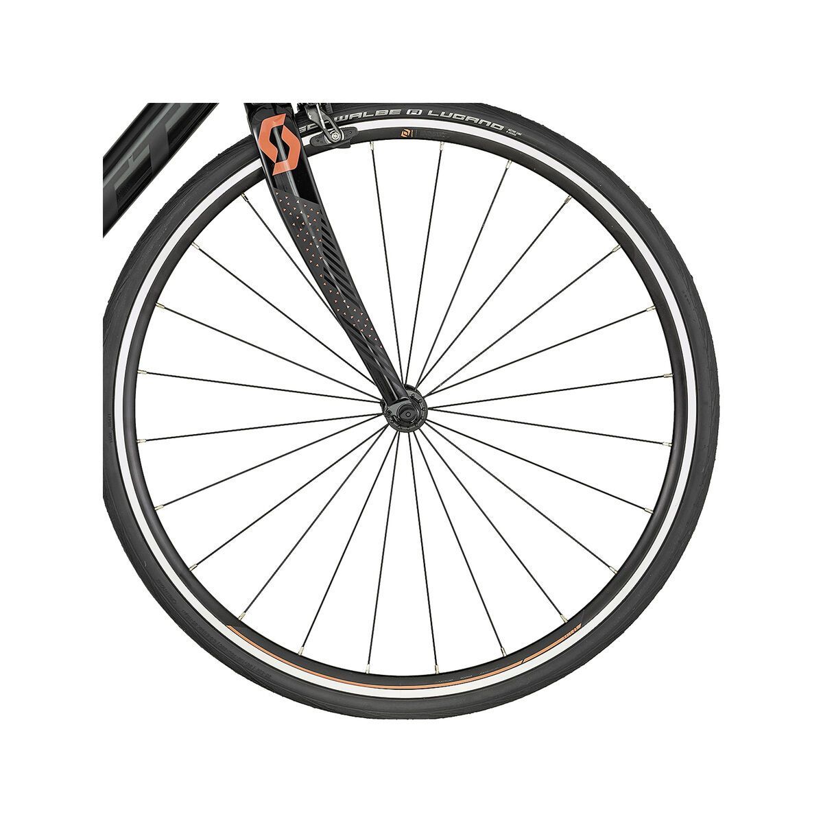 Scott Contessa Speedster 35 - Bild 3