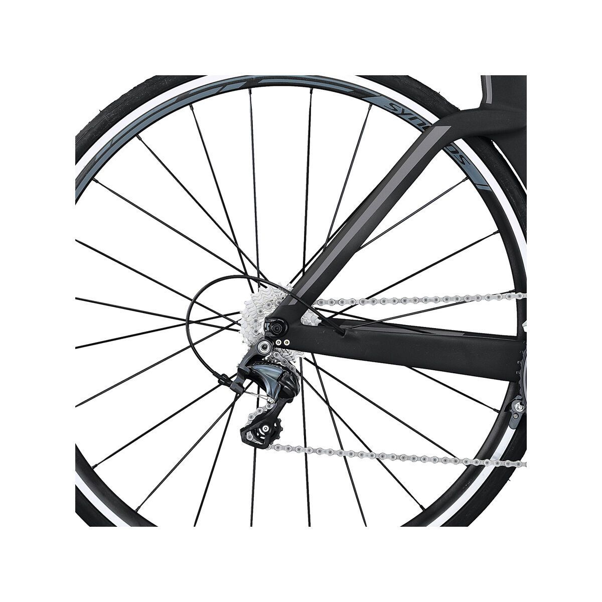 Scott Plasma 10 - Bild 4