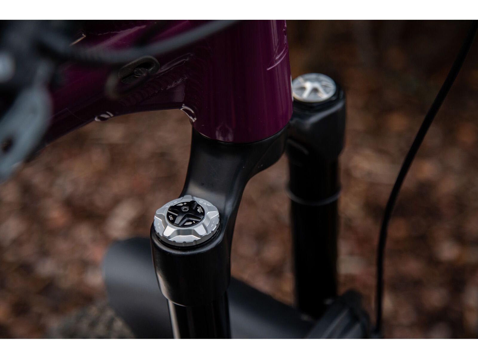 OAK Components Forkcap HSC für Fox 34, 36, 38, 40, raw - Bild 2