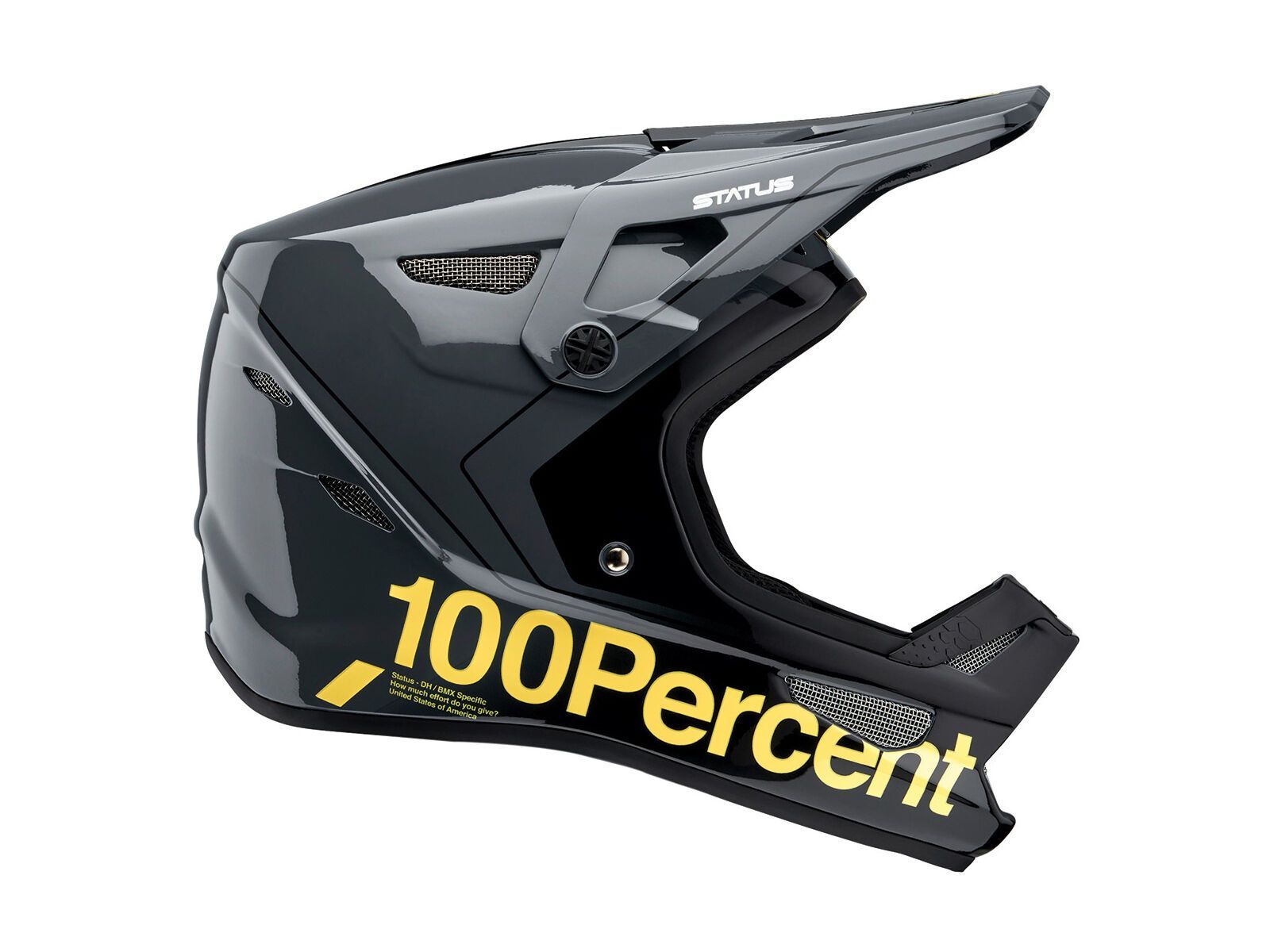 100% Status DH/BMX, carby charcoal - Bild 1