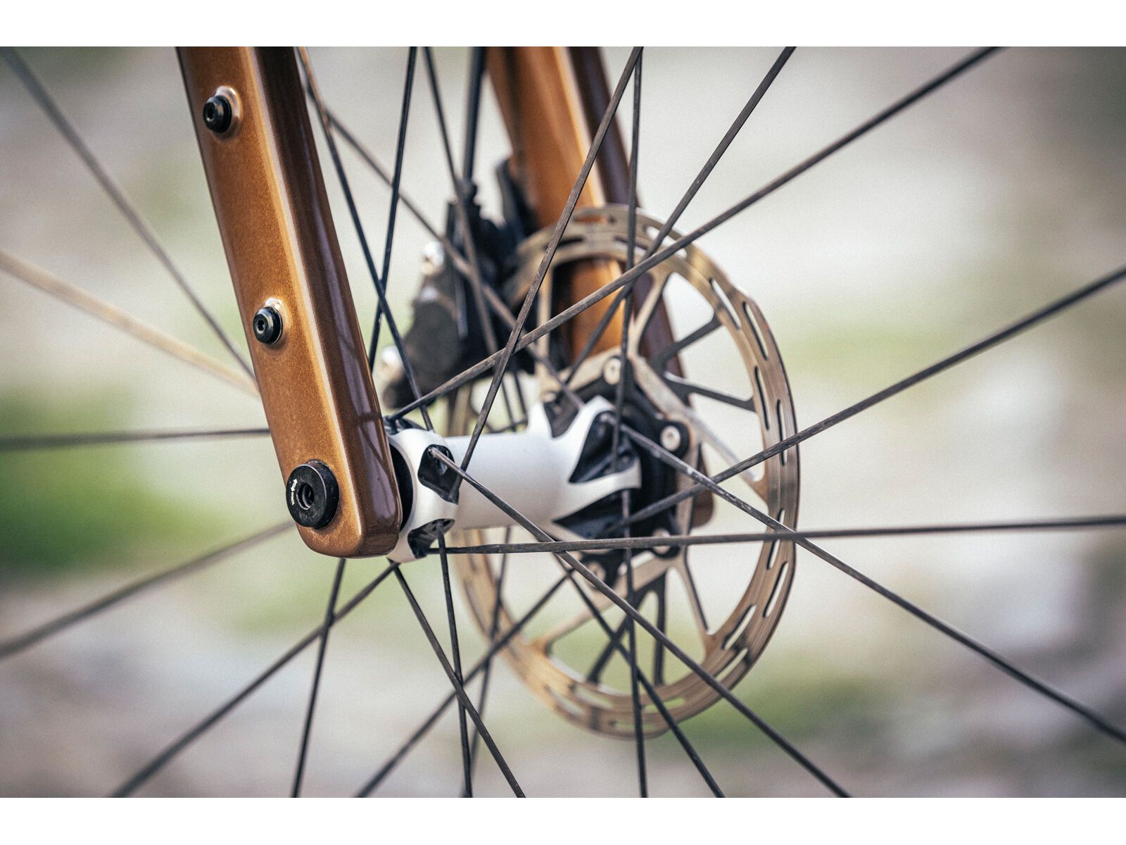 Focus Atlas 8.9, gold brown - Bild 14