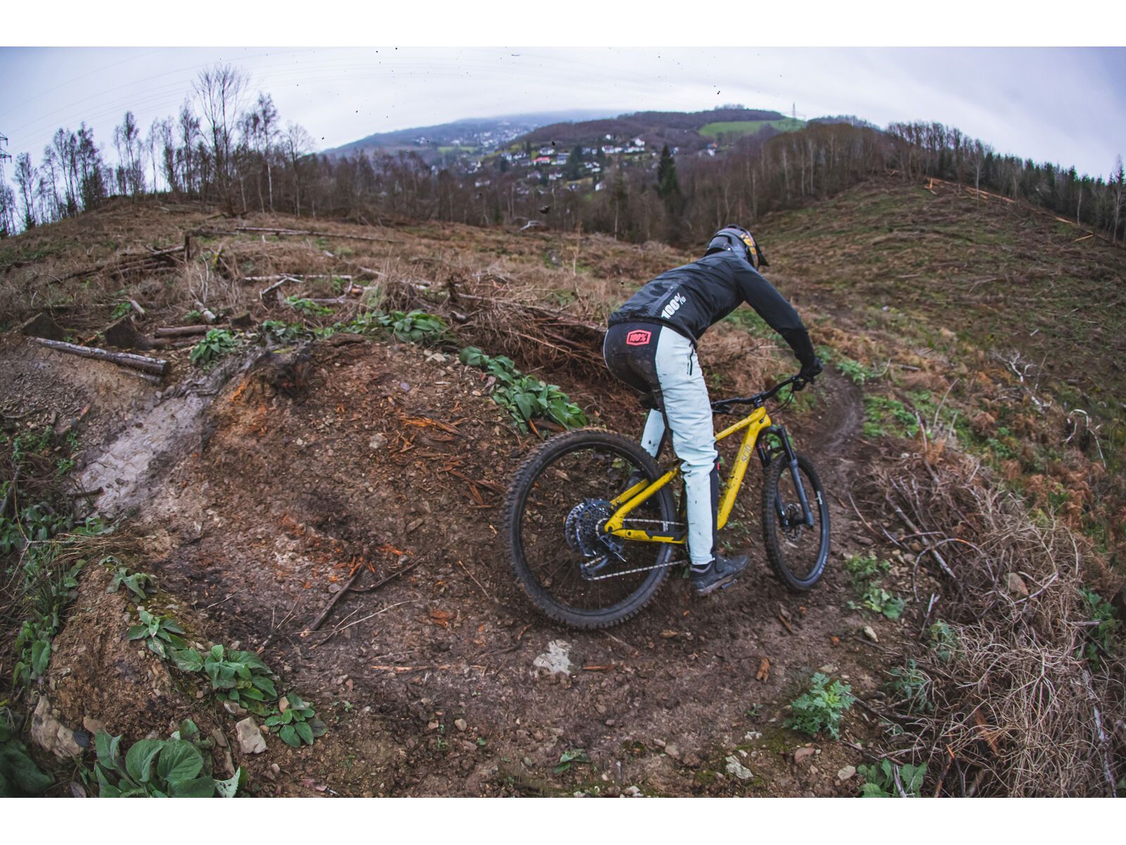 SCIU Aspen, moss yellow - Bild 23