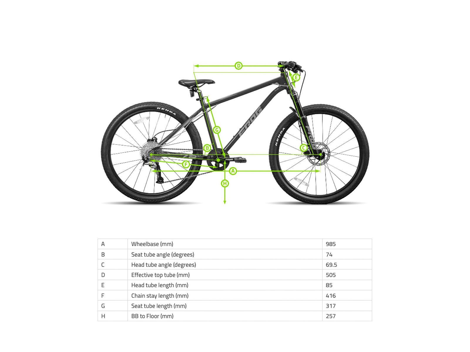 Frog Bikes Frog MTB 62, grey/blue - Bild 3