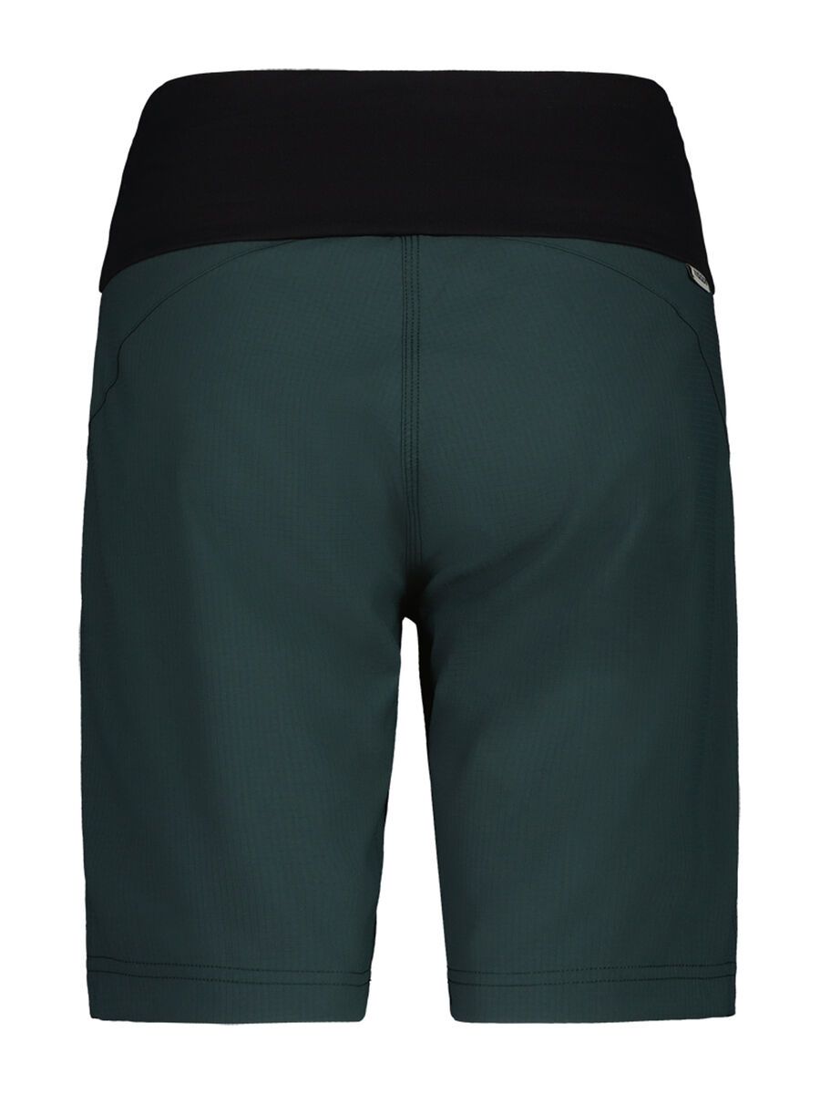 Maloja BadusM., mountain pine - Bild 2