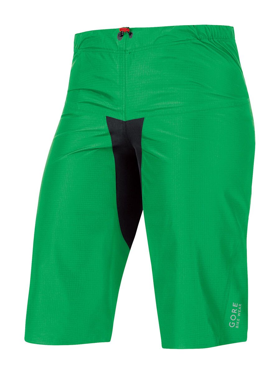 Gore Bike Wear Alp-X 3.0 Gore-Tex Active Shorts, fresh green - Bild 1