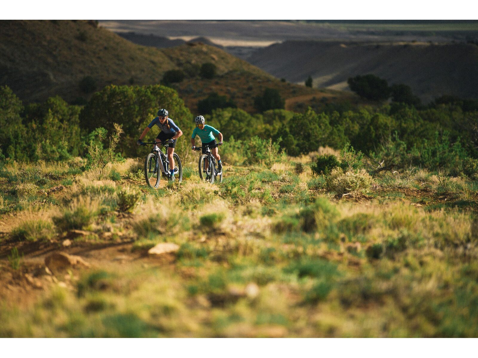 Juliana Wilder C / R / TR / 29, purple sweetness / lavender - Bild 15