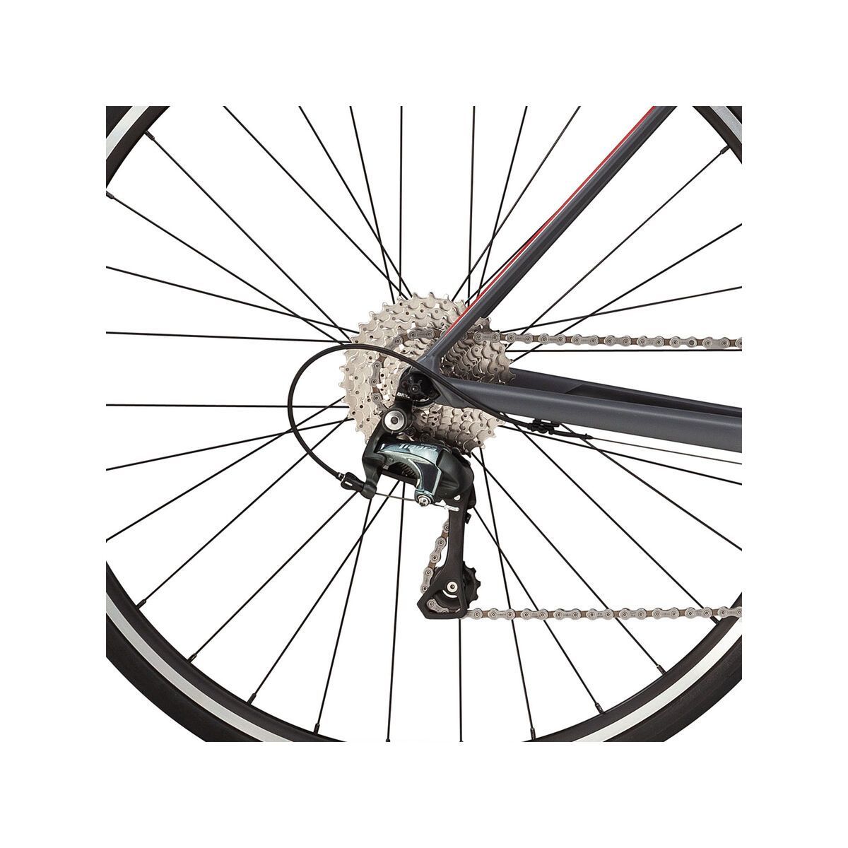 BMC Teammachine ALR01 Two, race grey - Bild 5