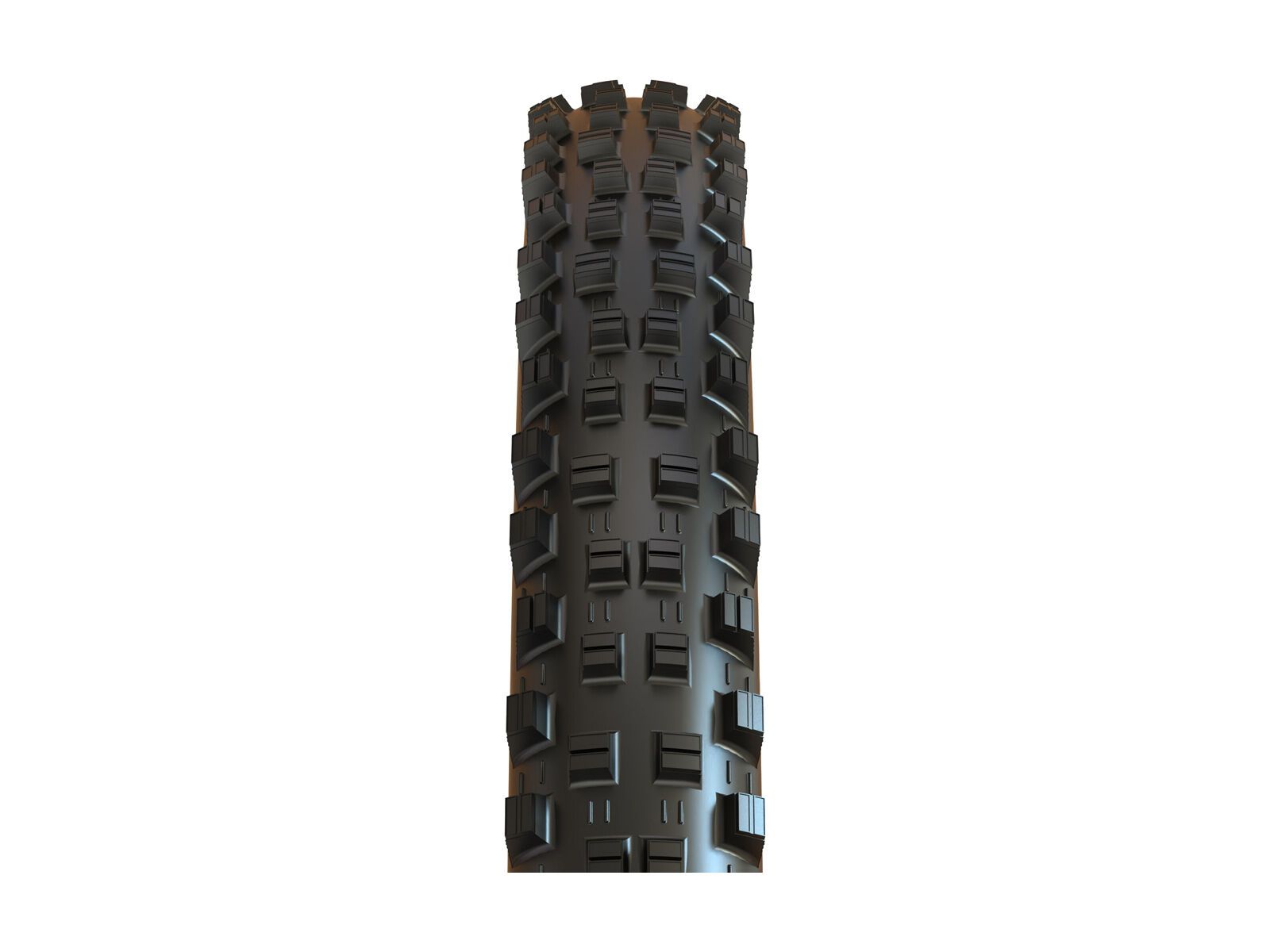 Maxxis Shorty 3C MaxxTerra EXO WT TR - 29 Zoll - Bild 2