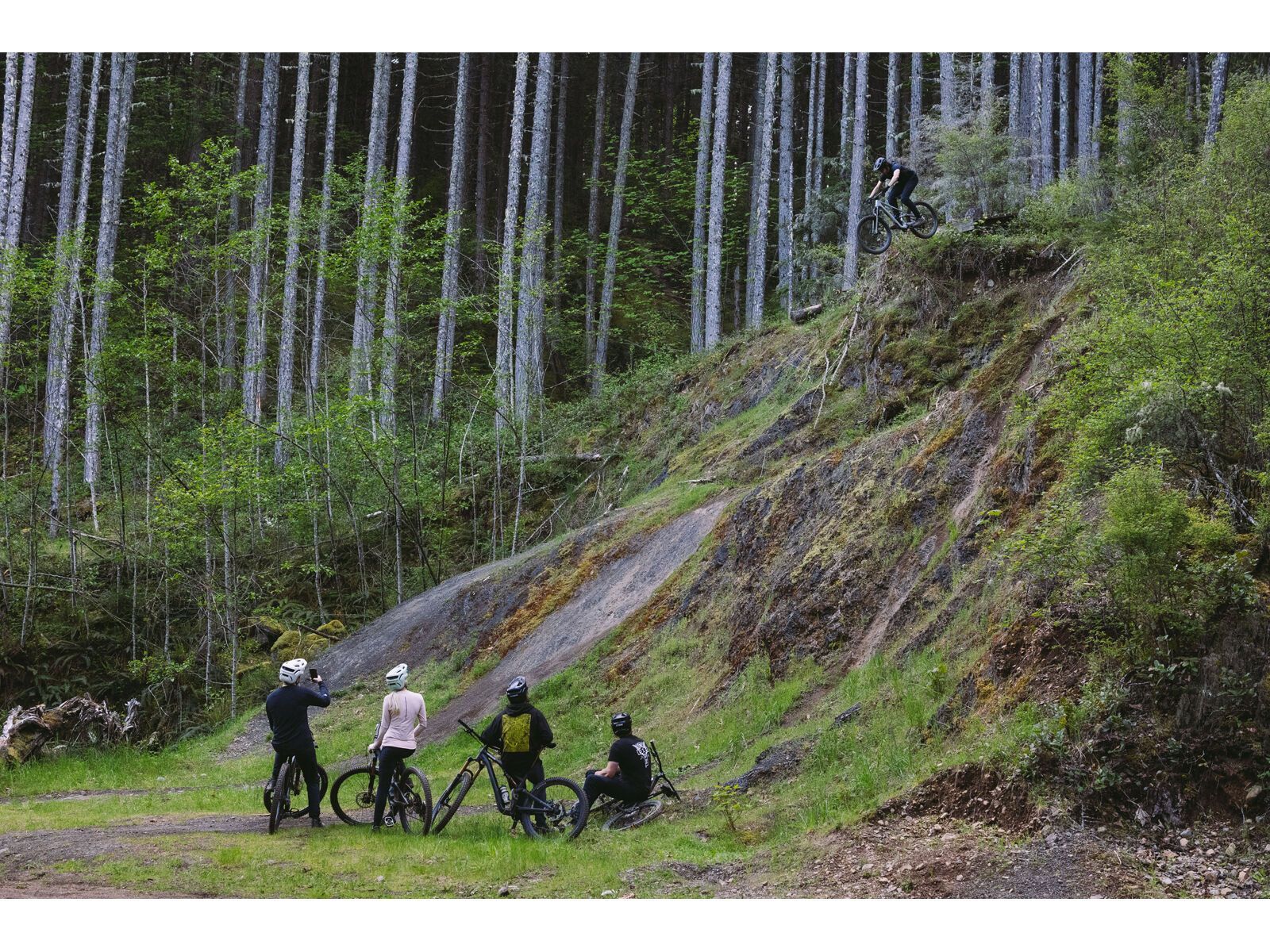 Specialized Stumpjumper 15 Pro - 29/29, satin green tint/gunmetal/satin metallic sulphur - Bild 17