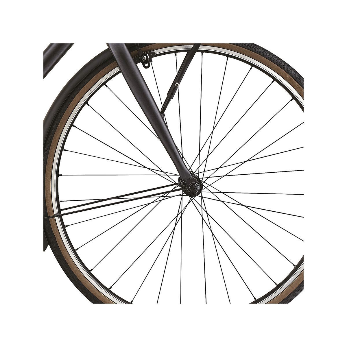 Specialized Daily Elite, Raw/Satin Tinted Light Graphite - Bild 2