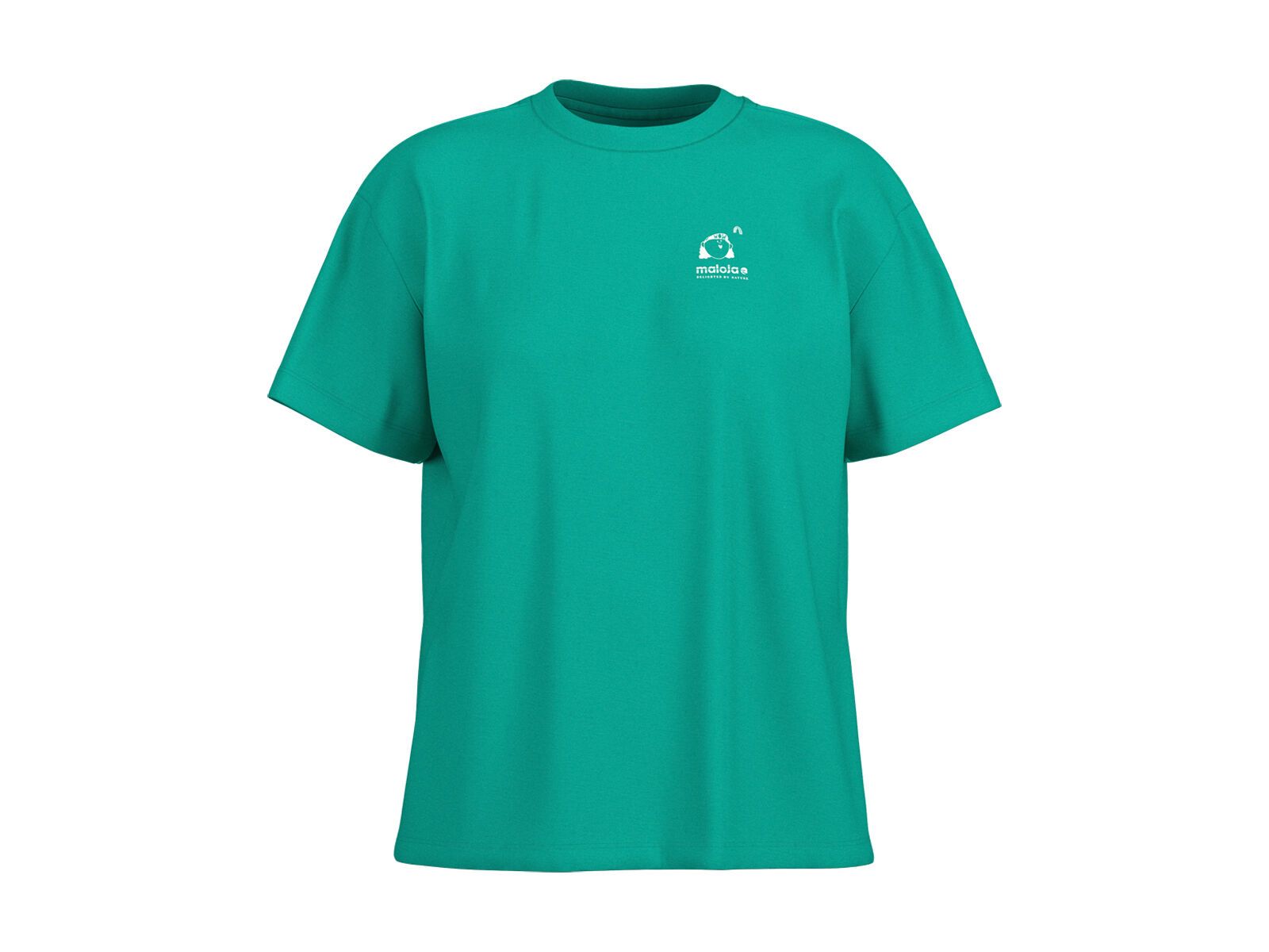 Maloja KavangiM., polar light - Bild 1