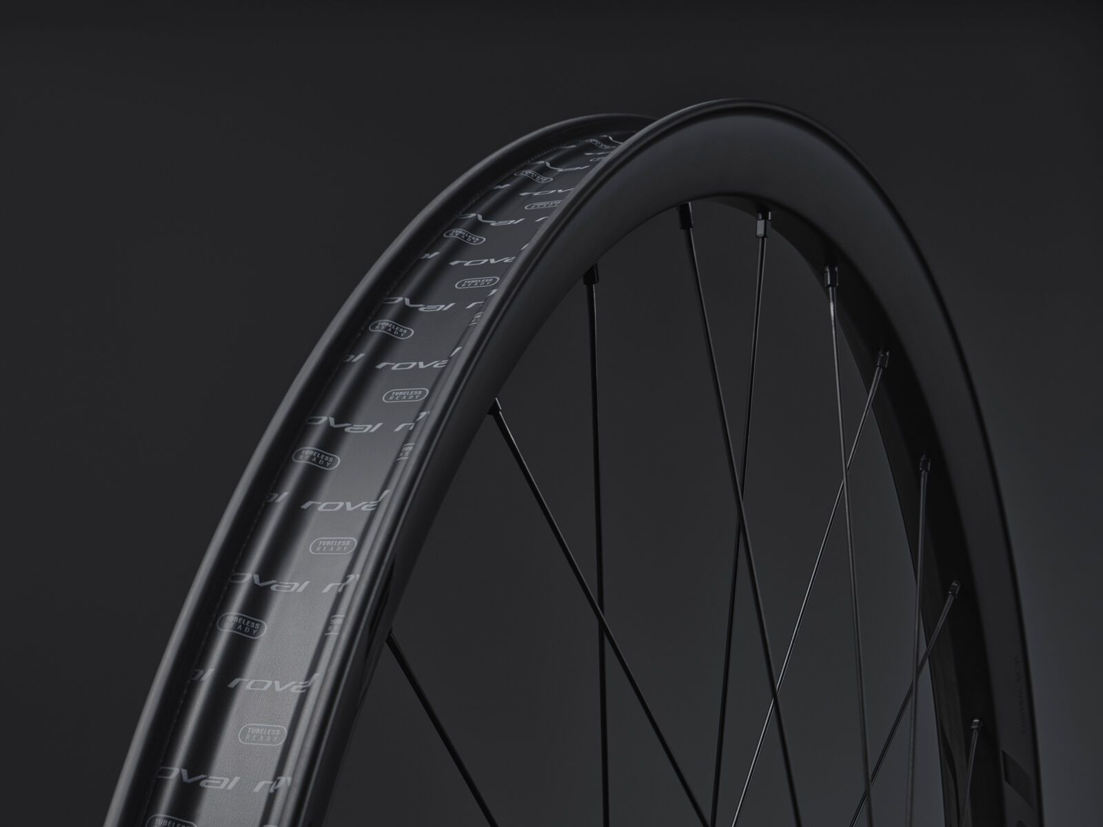 Specialized Roval Control SL VI 350 - 29 / 12x148 mm / SRAM XD, satin carbon/black - Bild 10