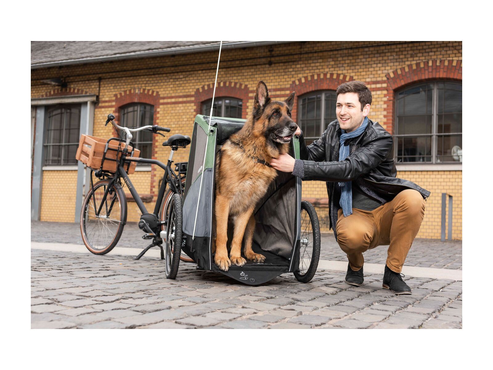 Croozer Dog Bruuno, pine green - Bild 5