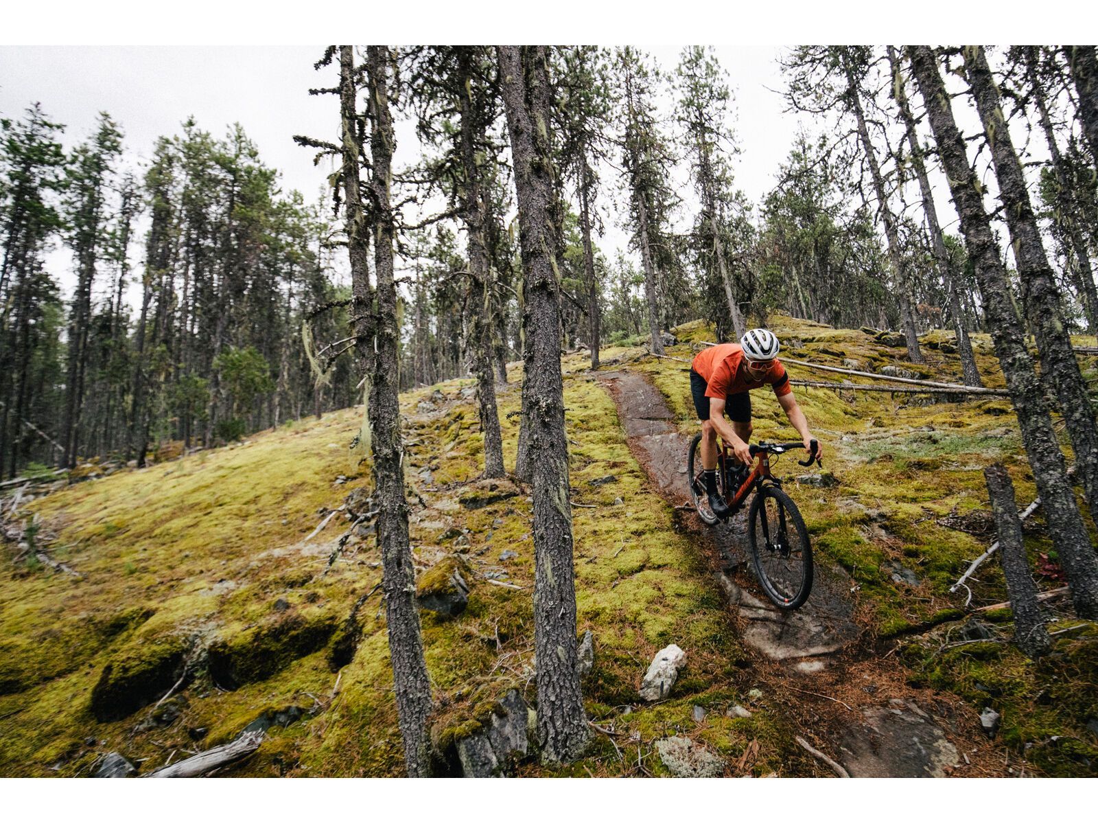 Santa Cruz Stigmata CC / Apex, british racing green - Bild 16