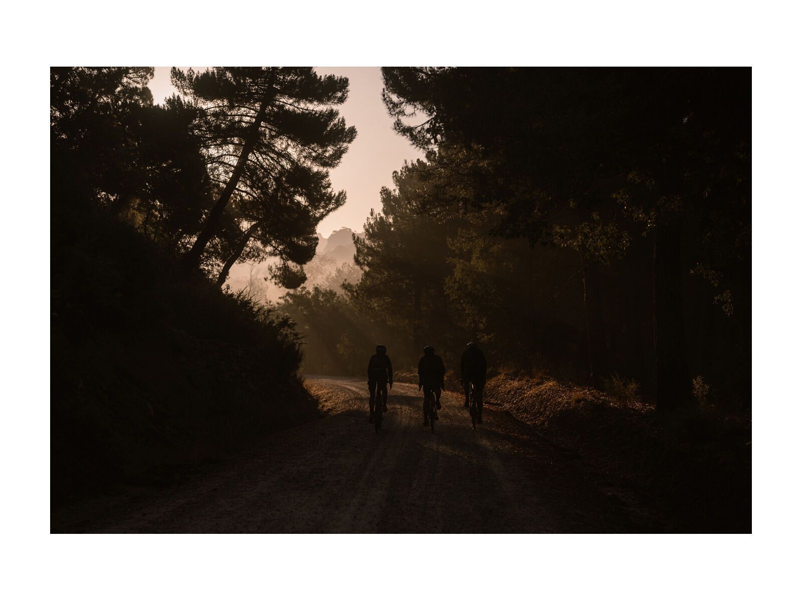 Continental Terra Trail - 700C - Bild 5