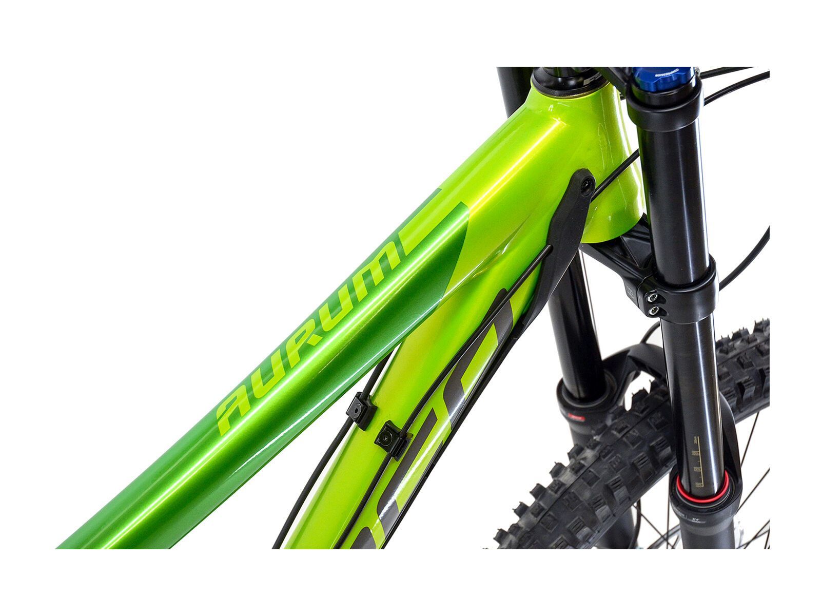 Norco Aurum A 7, green/green - Bild 2