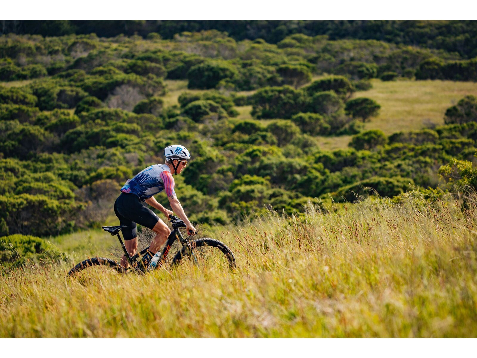 Santa Cruz Blur C / XT / RSV / 29, dark matter/salmon - Bild 20