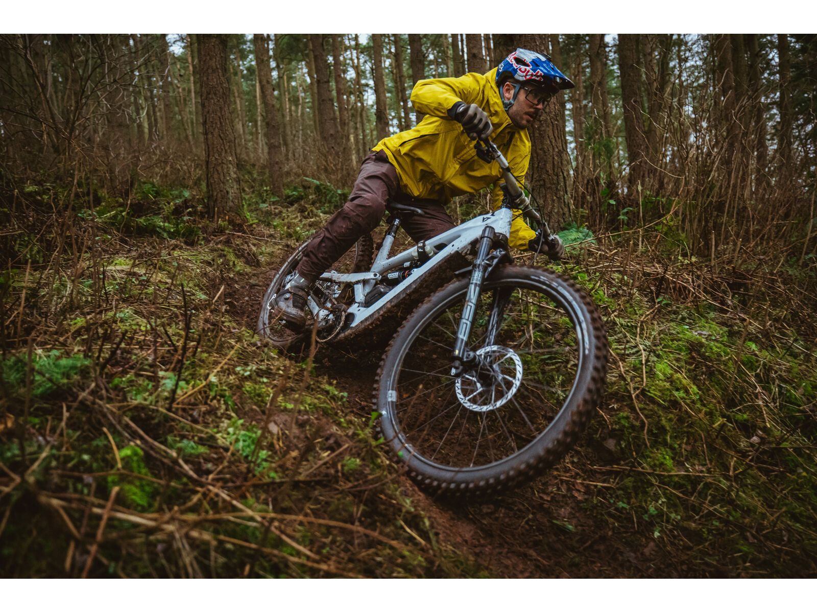 Schwalbe Shredda Front Radial Addix Ultra Soft Gravity Pro - 29 Zoll - Bild 11