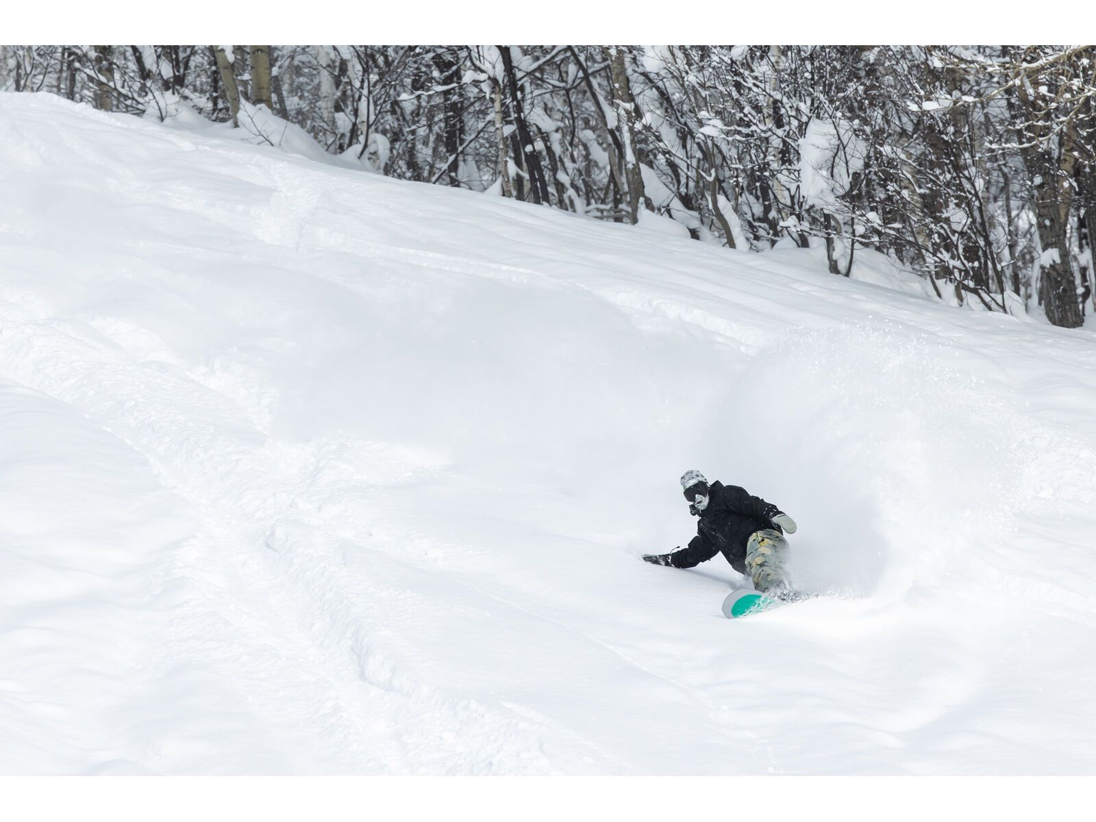 Bataleon Goliath Wide - Bild 6