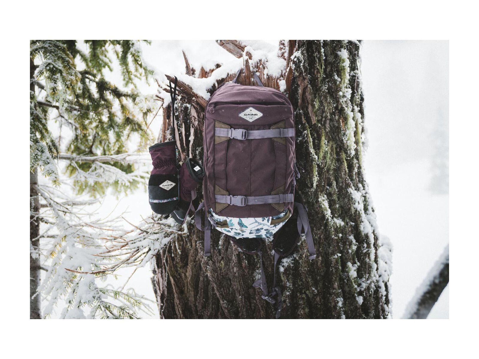 Dakine Womens Team Mission Pro 25l, leanne pelosi - Bild 3