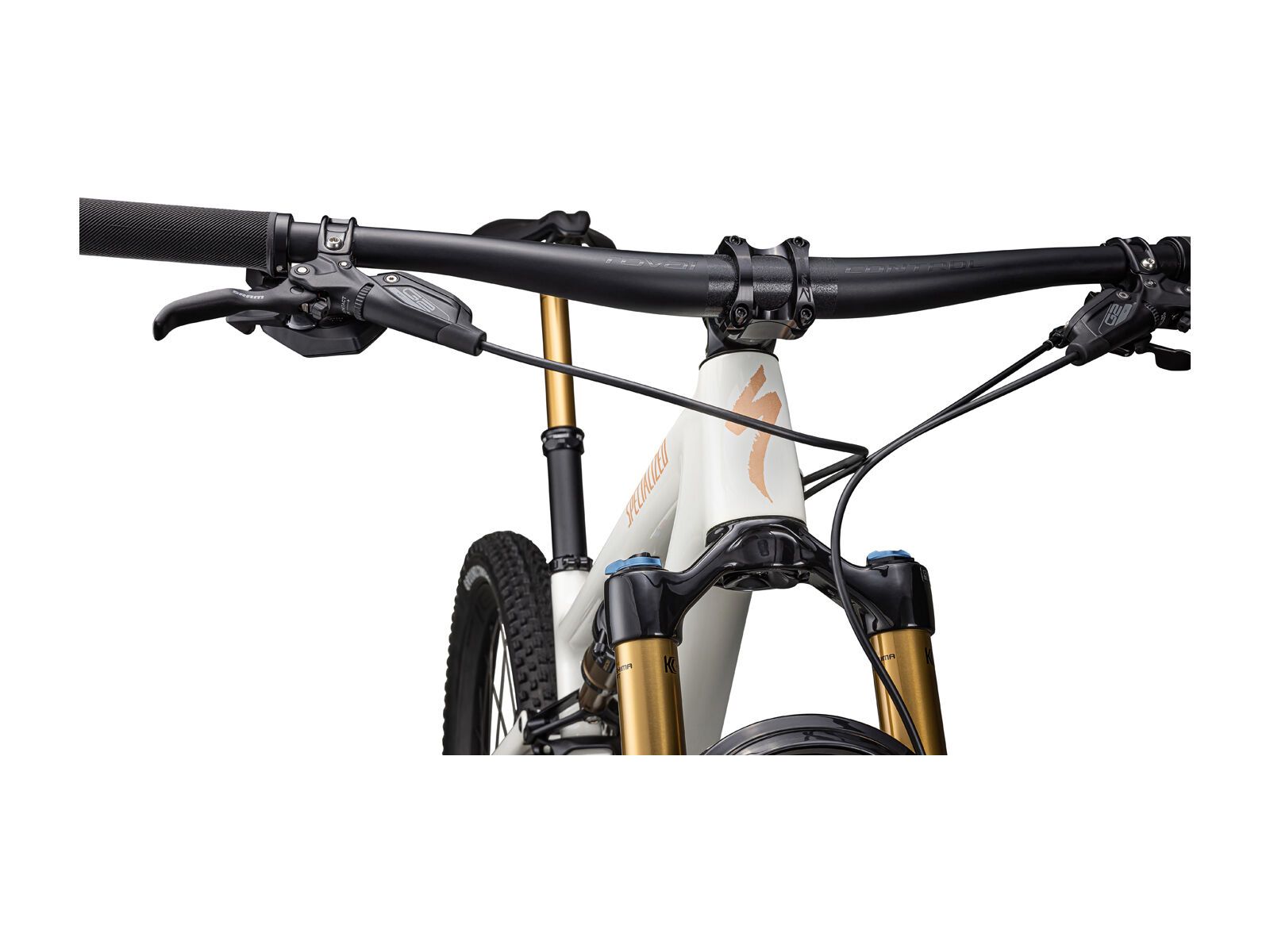 Specialized Epic Evo Pro, birch/bronze/pearl - Bild 6
