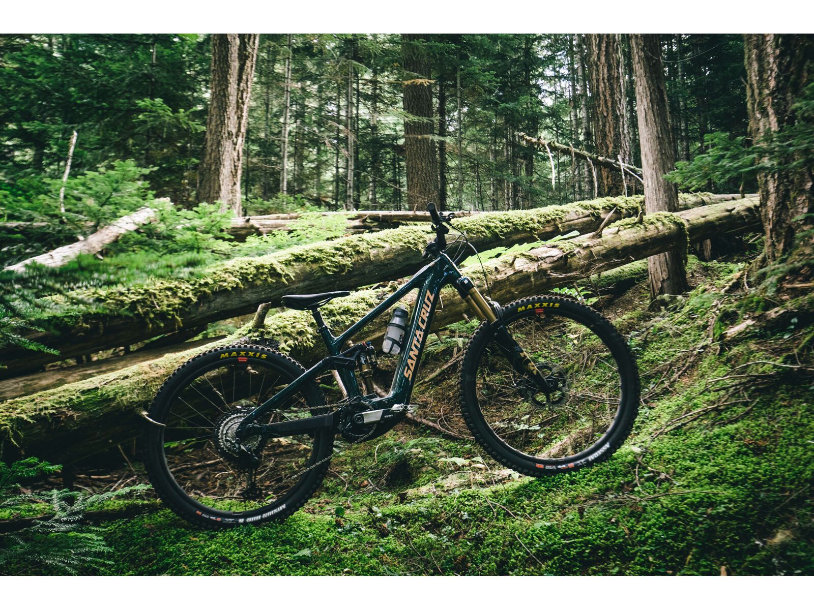 Santa Cruz Vala C / 70 / MX, gloss midnight green - Bild 31