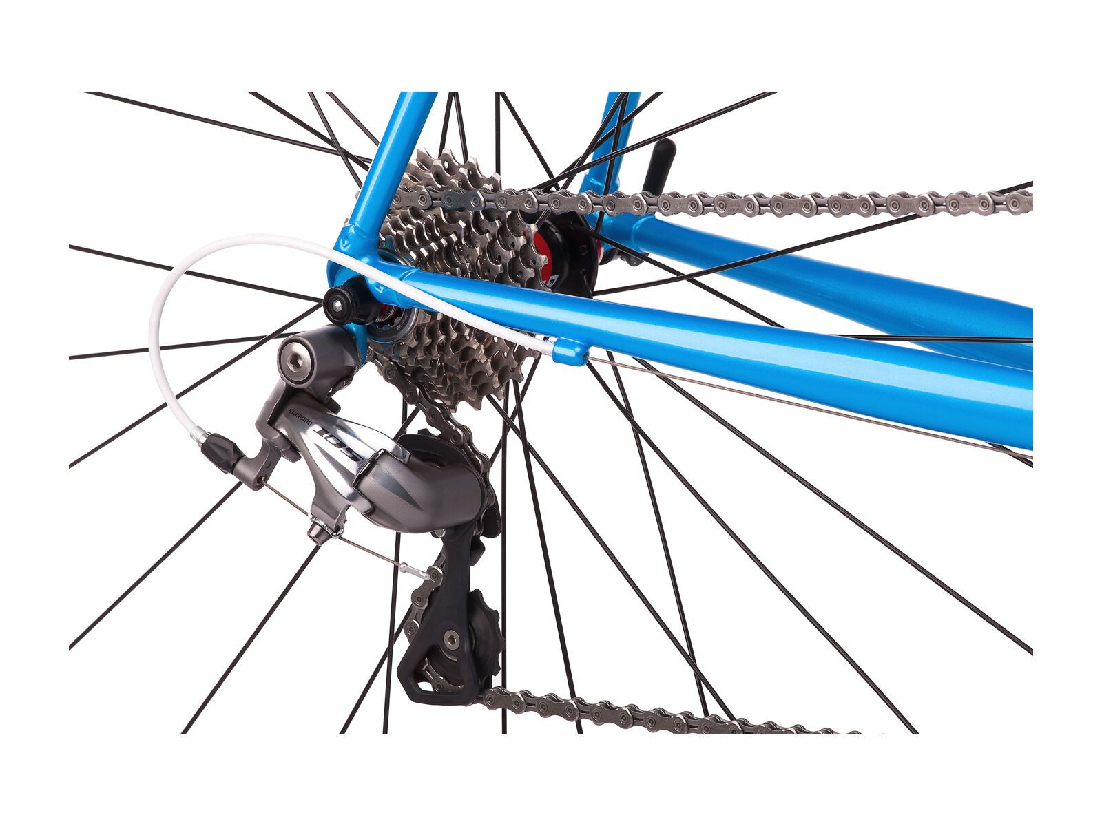 Creme Cycles Echo Tange, raceblue - Bild 3