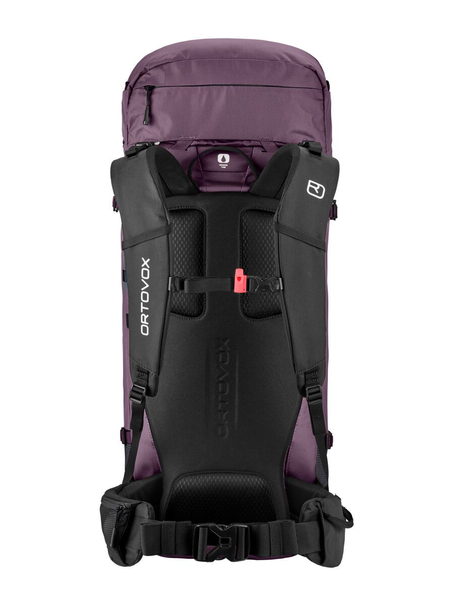 Ortovox Peak Light 30 S, wild berry - Bild 2