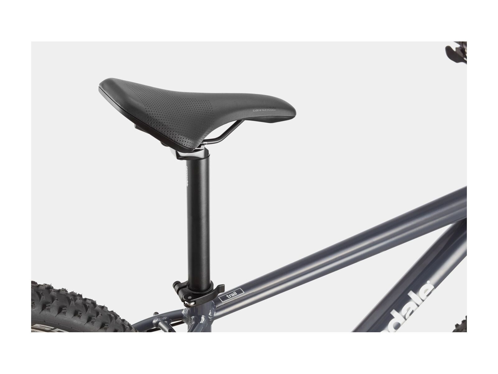 ***2. Wahl*** Cannondale Trail 6 - 29 slate gray 2022 - Bild 7