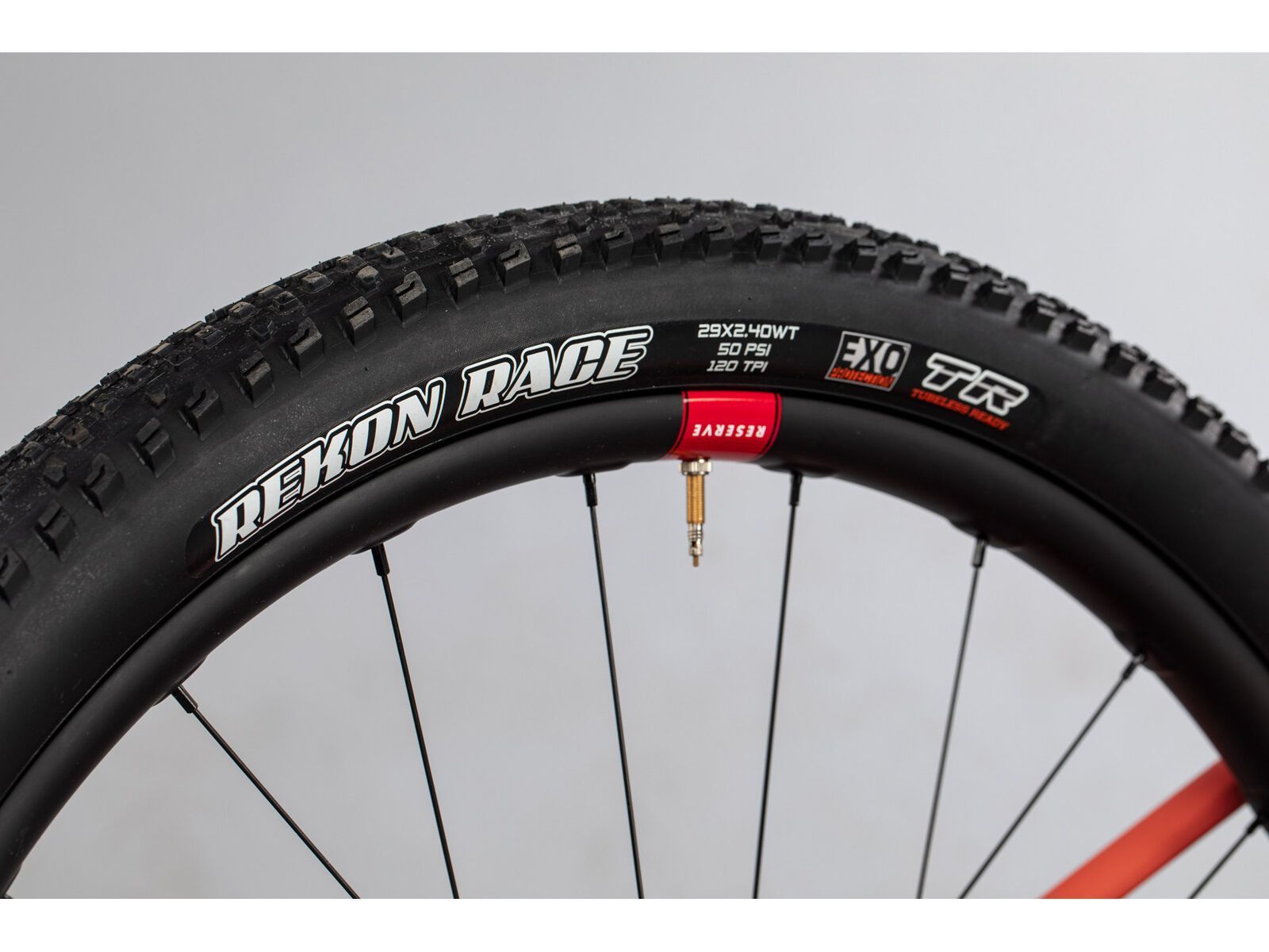 Santa Cruz Blur C / XT / RSV / 29, sockeye sal/blue - Bild 9