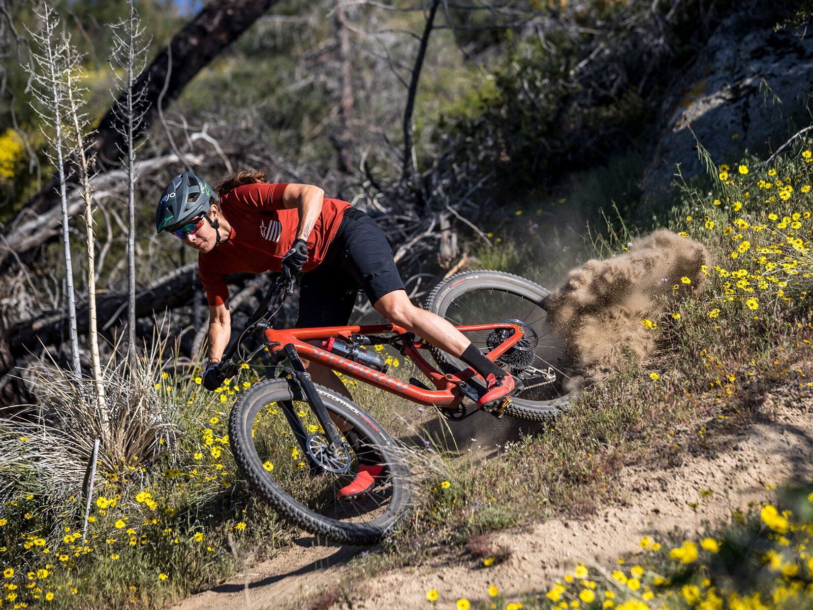 Specialized Epic Evo Expert, redwood/smoke - Bild 9