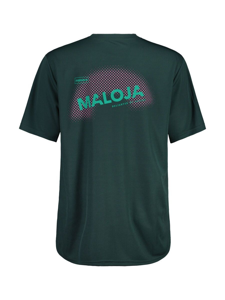 Maloja StaubachM., mountain pine - Bild 2