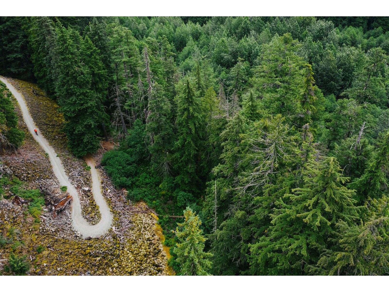 Santa Cruz Stigmata CC / Apex, british racing green - Bild 19