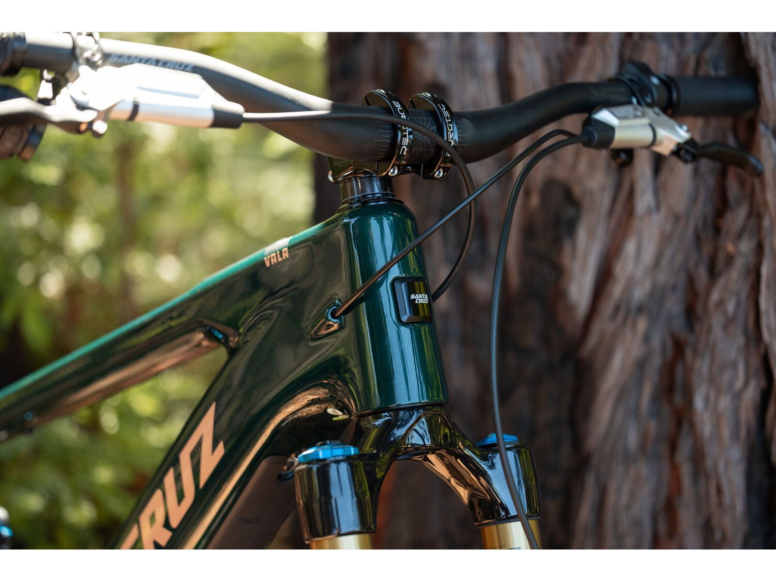 Santa Cruz Vala C / 70 / MX, gloss midnight green - Bild 22