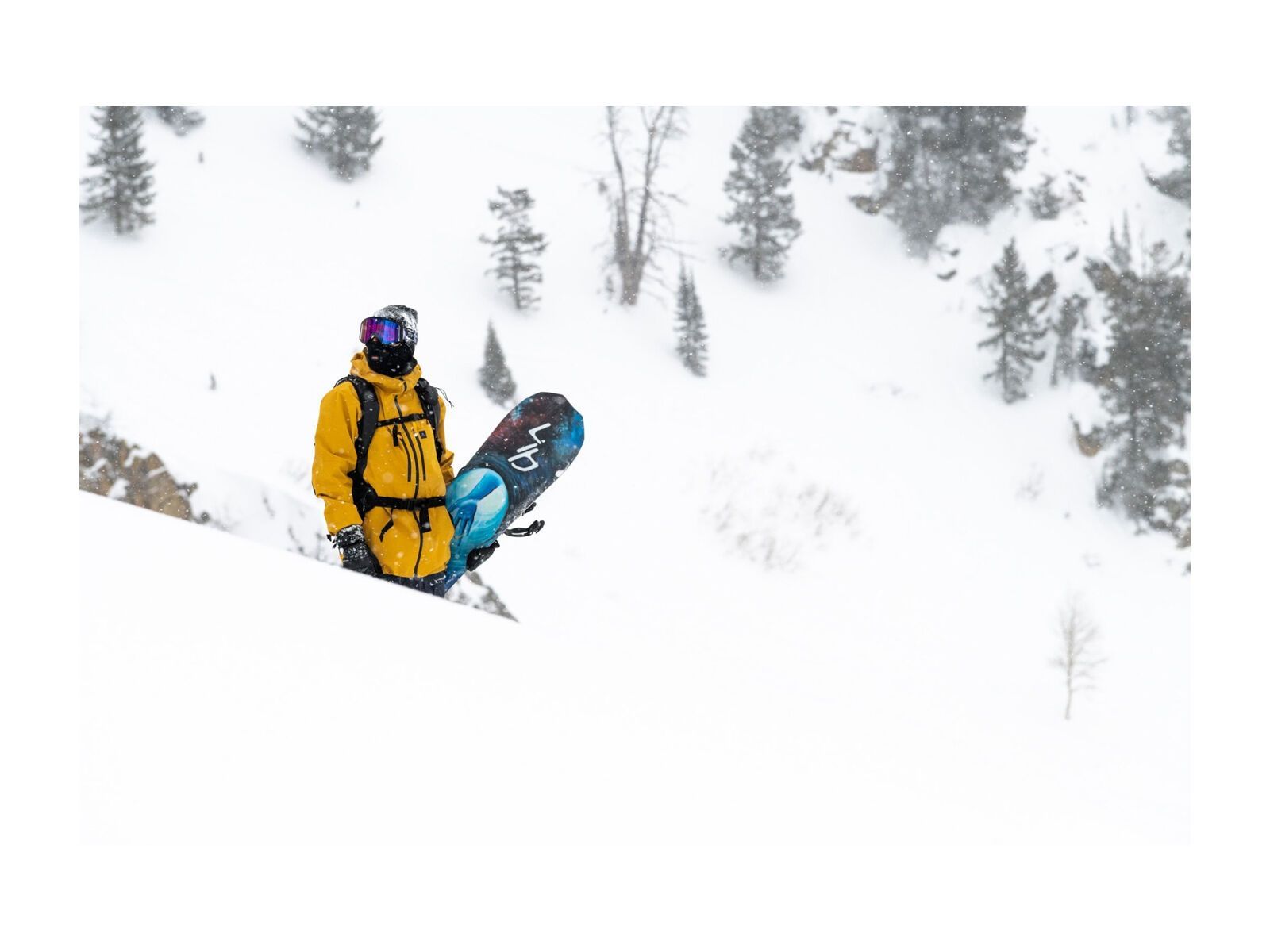 Lib Tech Golden Orca - Bild 4