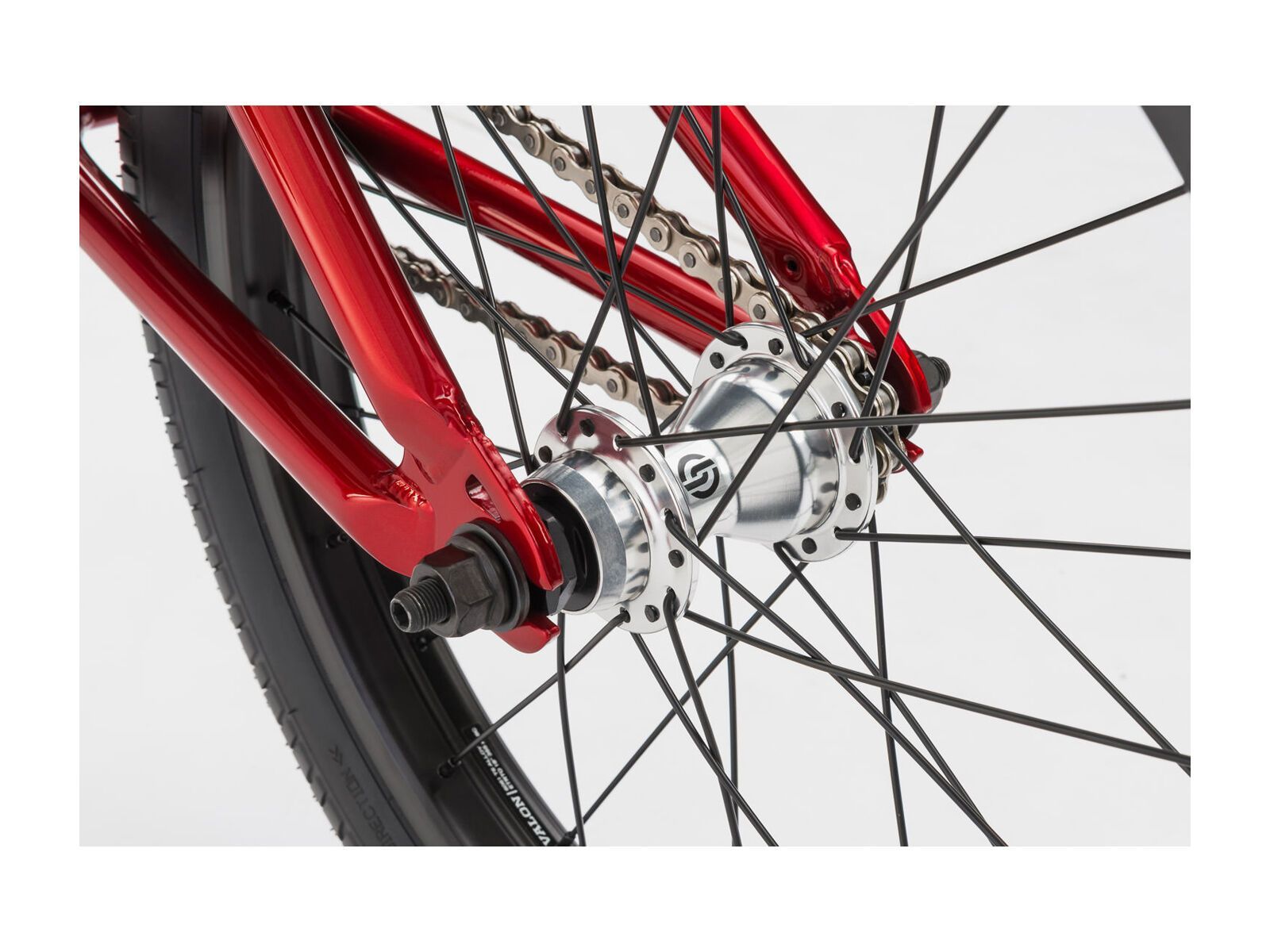 WeThePeople Curse 18, rot - Bild 5