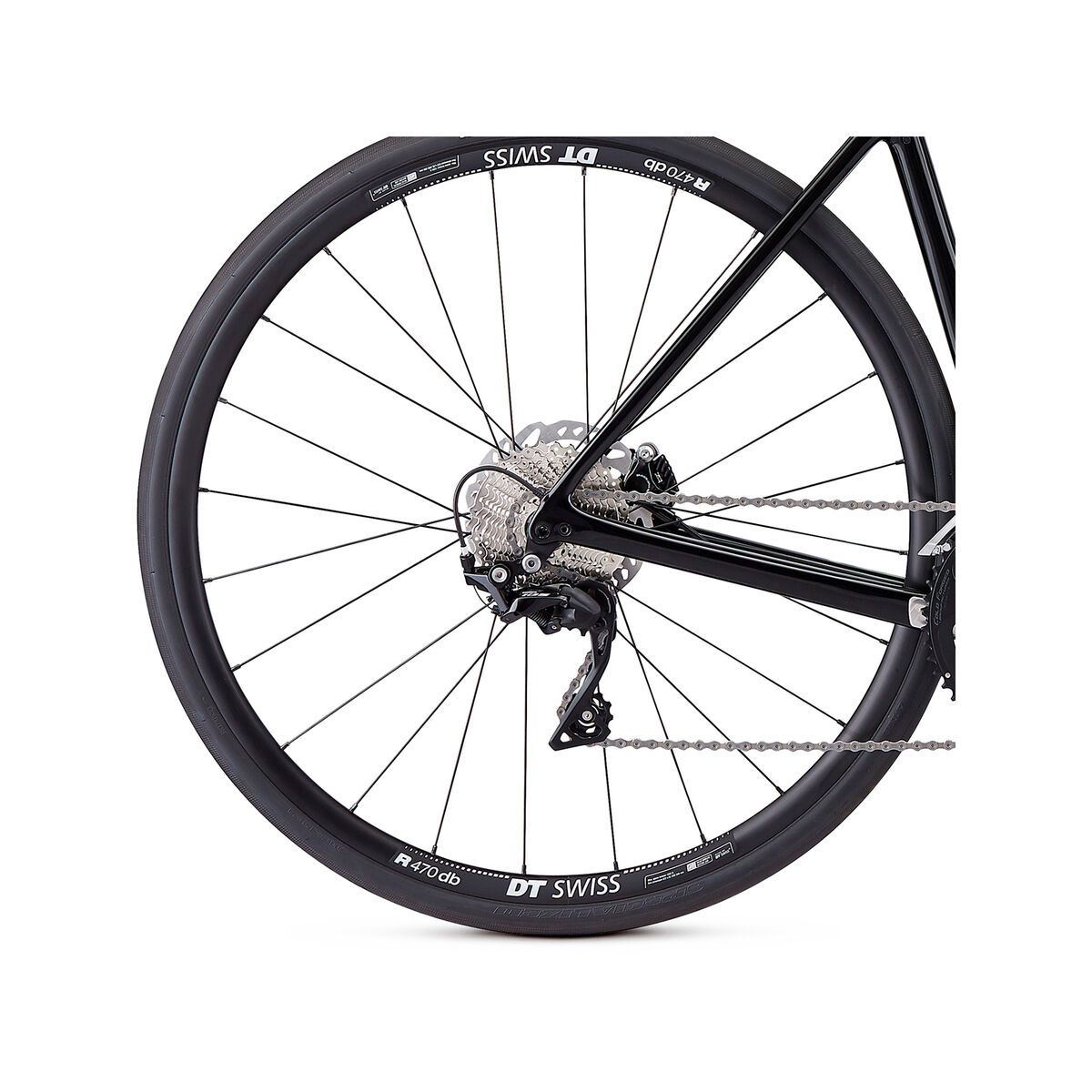 Specialized Roubaix Sport, gloss tarmac black/oil - Bild 6