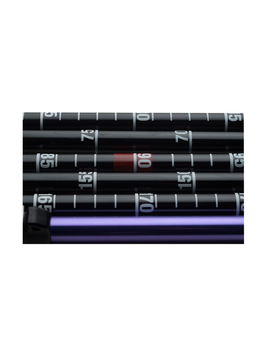 Black Diamond Quickdraw Probe Tour 240, grape - Bild 2