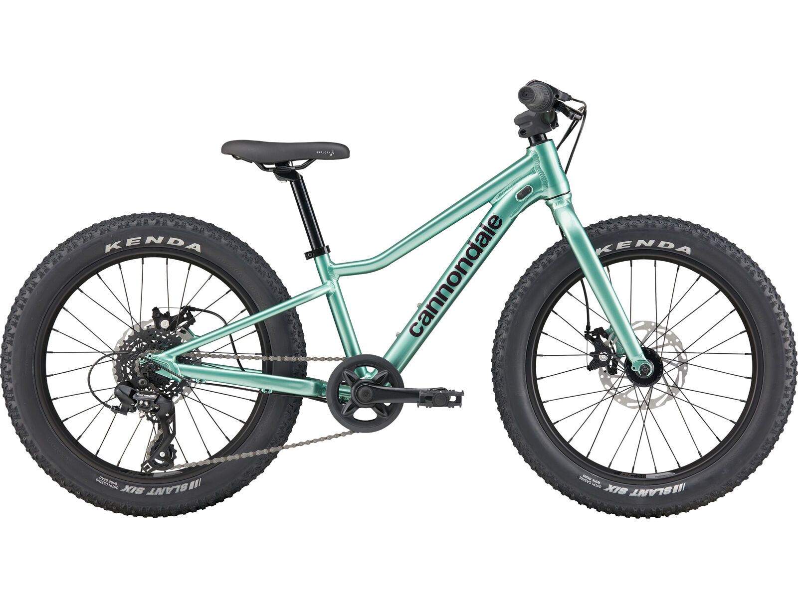 Cannondale Kids Trail Plus 20, cactus green - Bild 1
