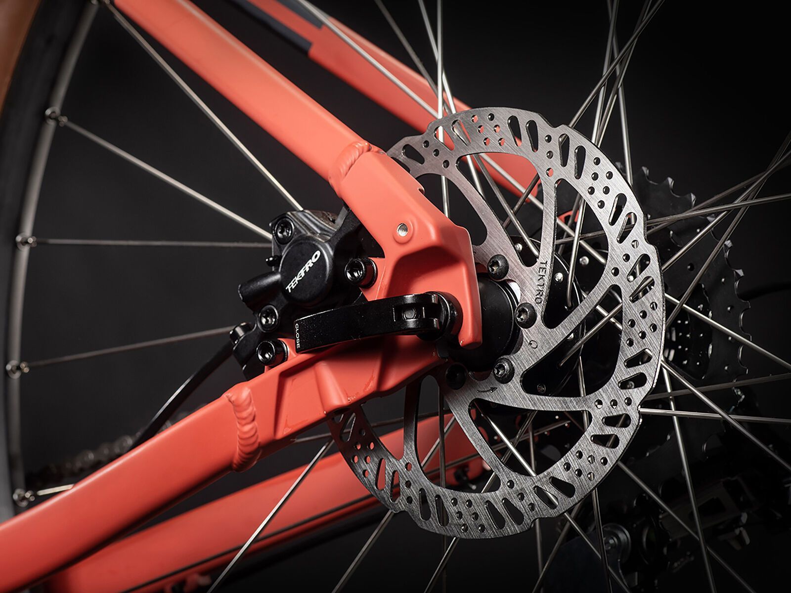 Cube Nature, red´n´grey - Bild 3