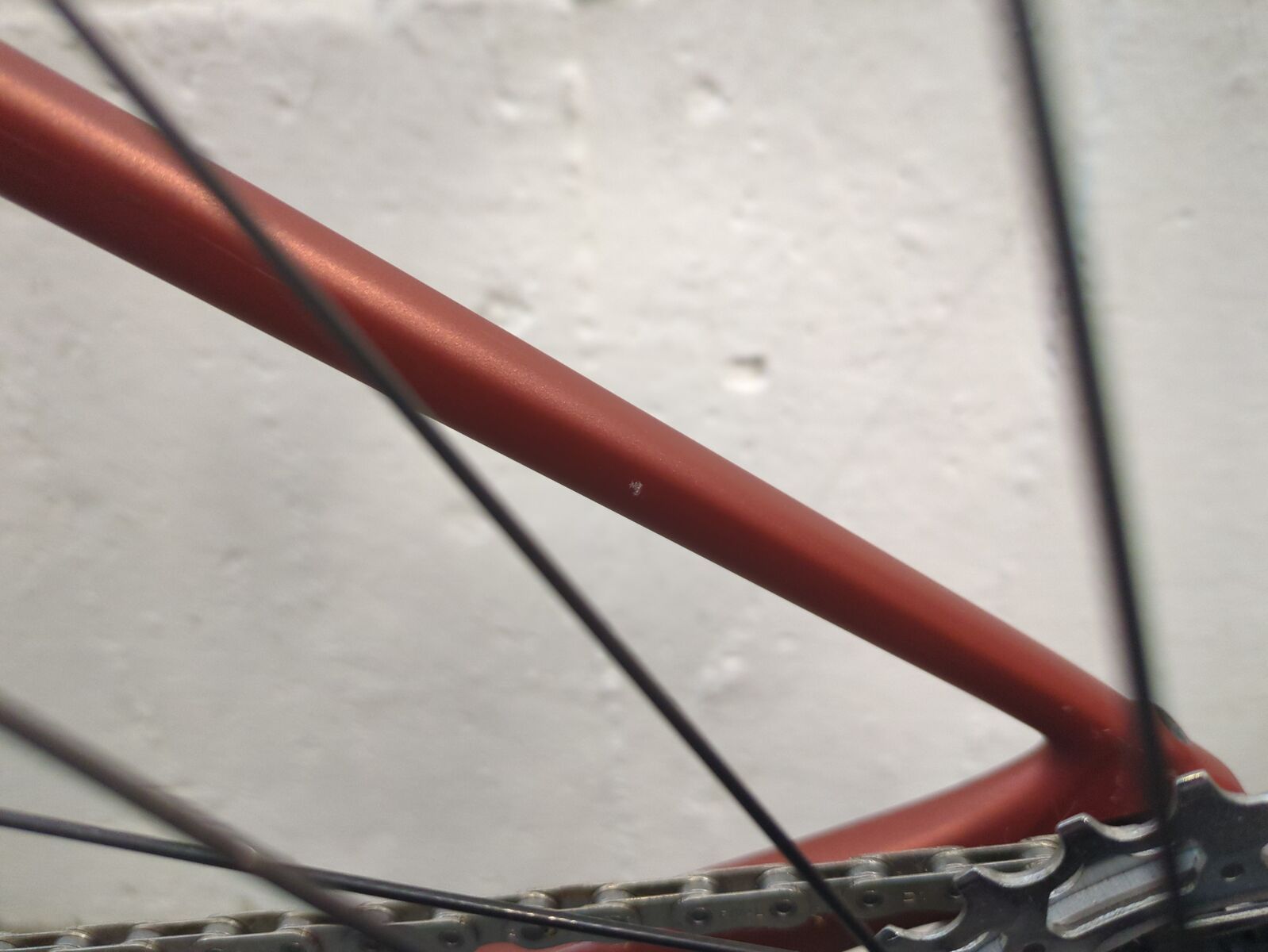 ***2. Wahl*** Specialized Roubaix SL8 Expert copper/smoke - Bild 3