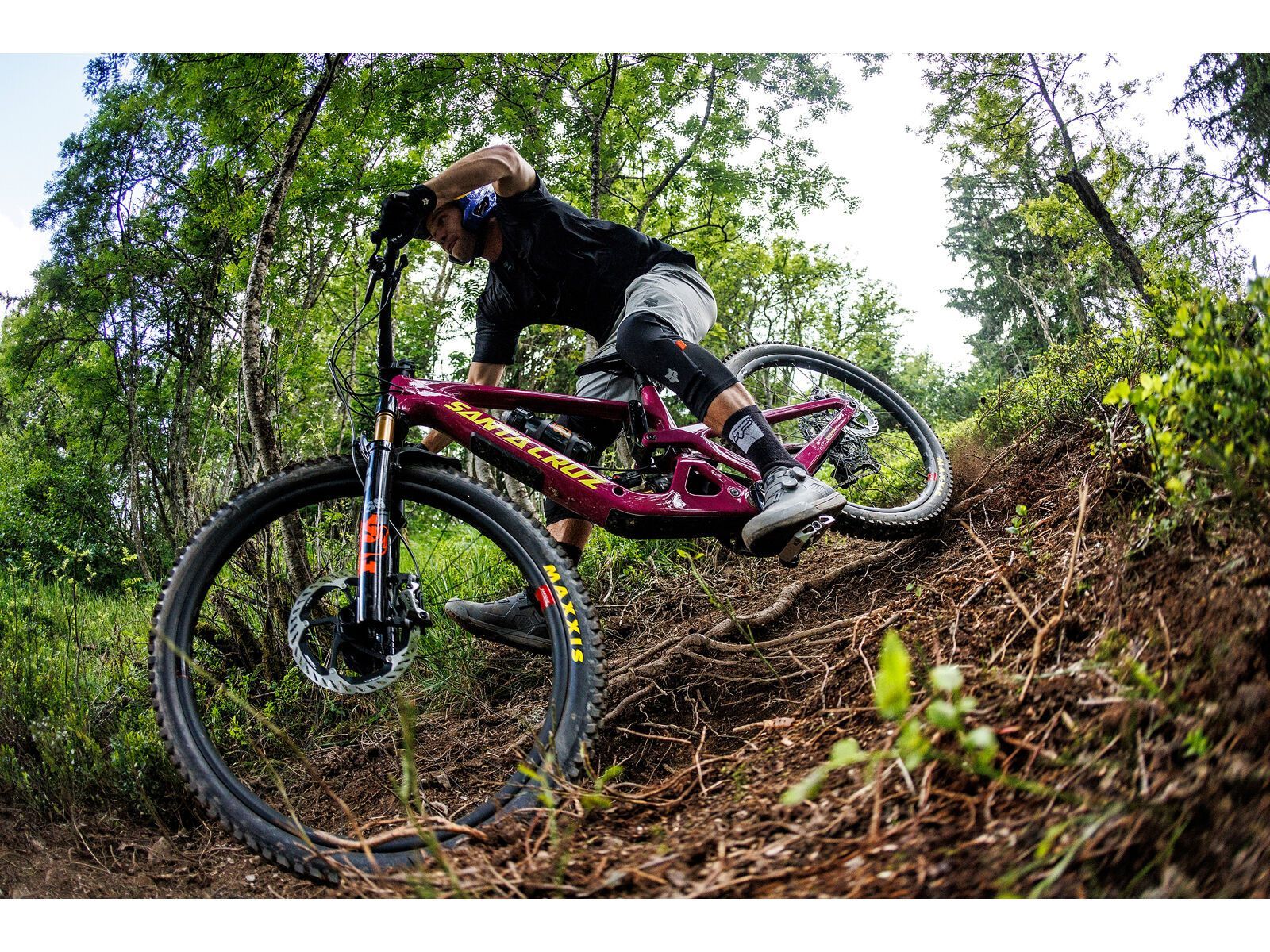 Santa Cruz Bronson C / 90 / MX, matte poblano green - Bild 10